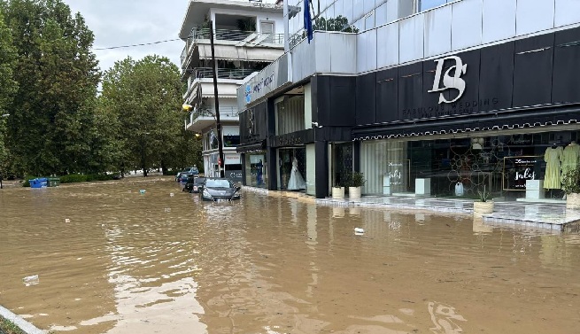 Πλημμύρες: «Καμπανάκι» Αρναούτογλου για κουνούπια και μετάδοση ασθενειών