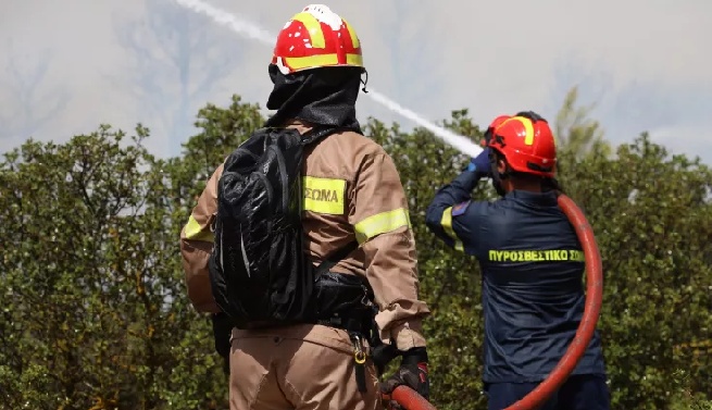 Φωτιά τώρα στην Ηλεία: Μεγάλη κινητοποίηση της Πυροσβεστικής