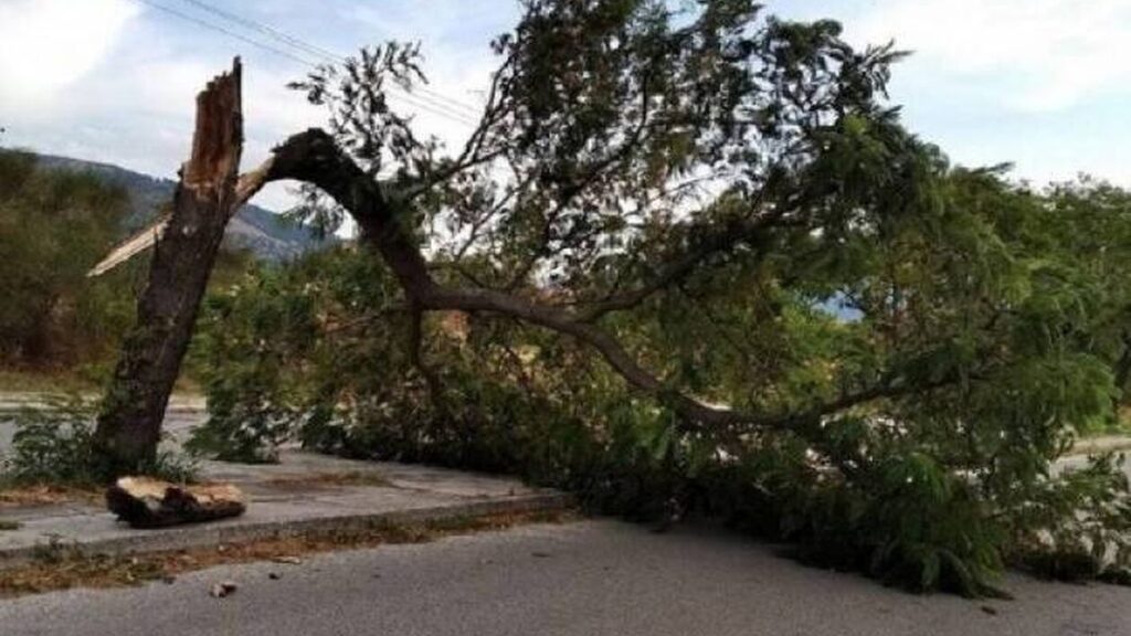 Δέντρο έπεσε σε αυτοκίνητο, τραυματίστηκε οικογένεια