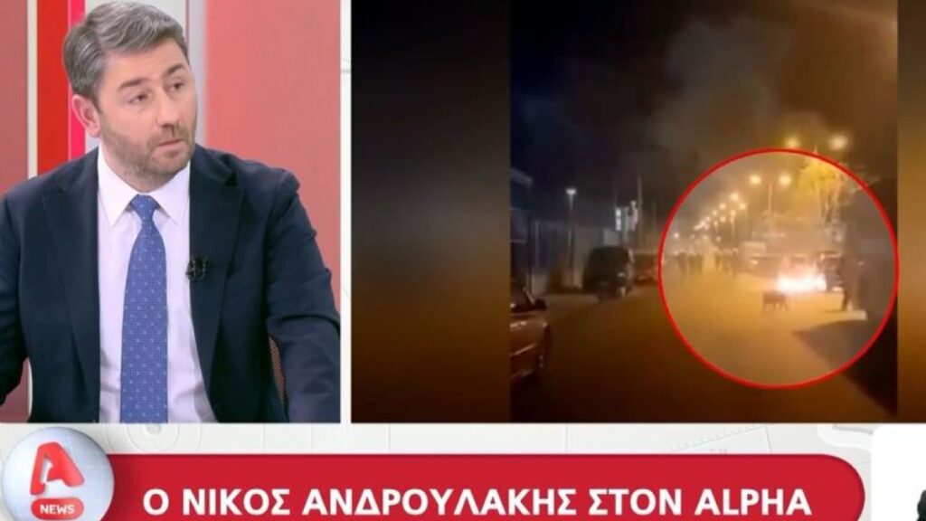 Νίκος Ανδρουλάκης