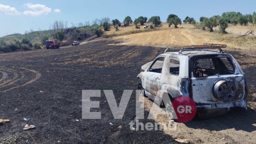 Εύβοια: Αυτοκίνητο τυλίχθηκε στις φλόγες και προκάλεσε φωτιά