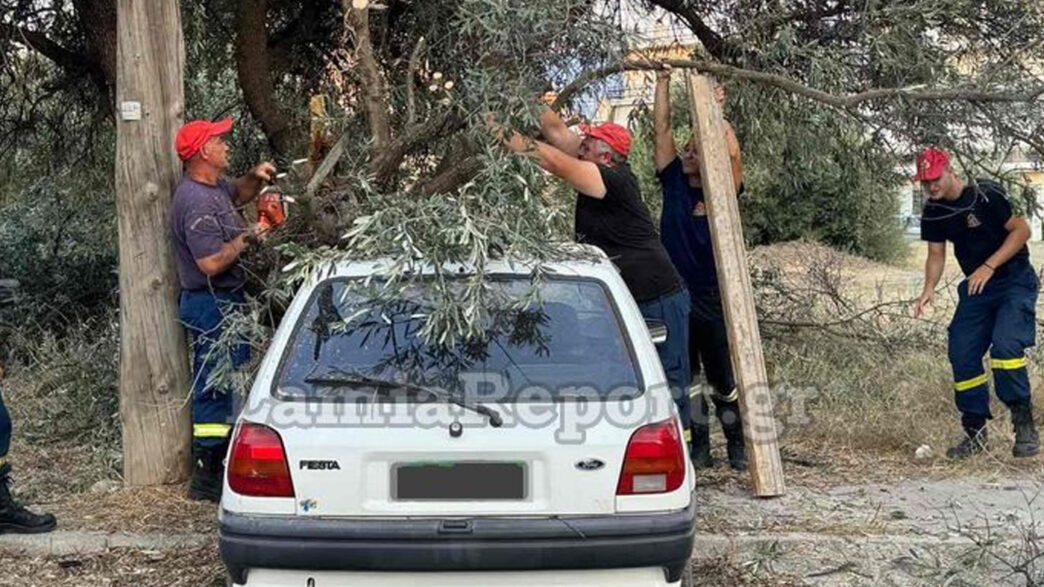 Λαμία: Έσπασε δέντρο και πλάκωσε αυτοκίνητο