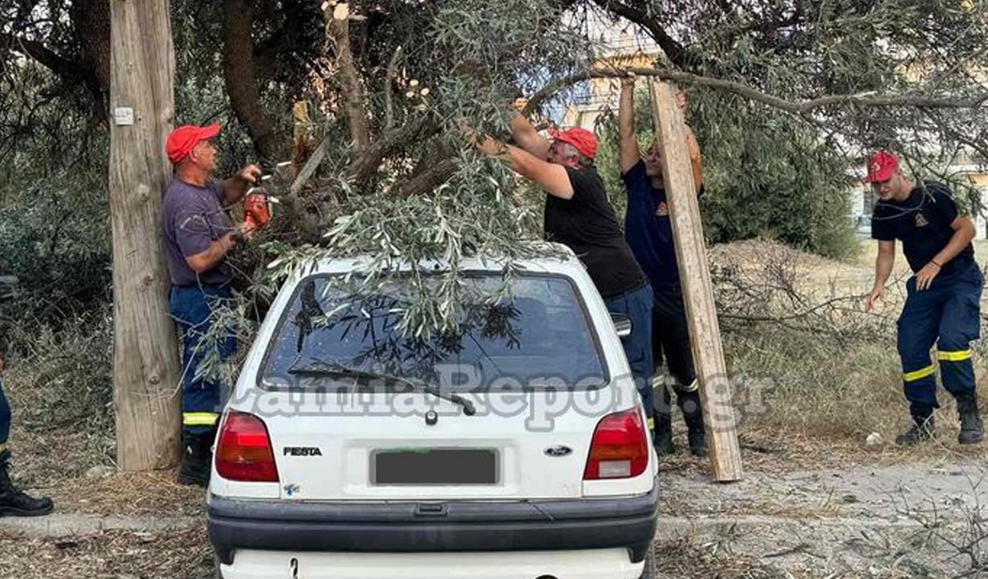 Λαμία: Έσπασε δέντρο και πλάκωσε αυτοκίνητο