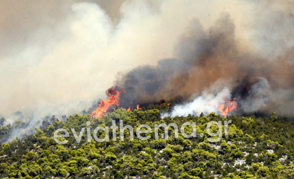 Μεγάλη φωτιά στην Κεντρική Εύβοια - Ισχυροί άνεμοι στο σημείο