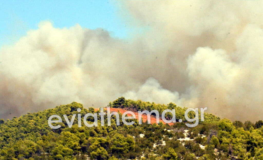 Μεγάλη φωτιά στην Κεντρική Εύβοια - Ισχυροί άνεμοι στο σημείο