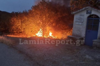 Φθιώτιδα: Αυτοκίνητο έφυγε σε γκρεμό