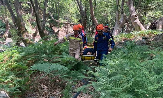 Μαγνησία: Εντοπίστηκε σορός σε προχωρημένη σήψη