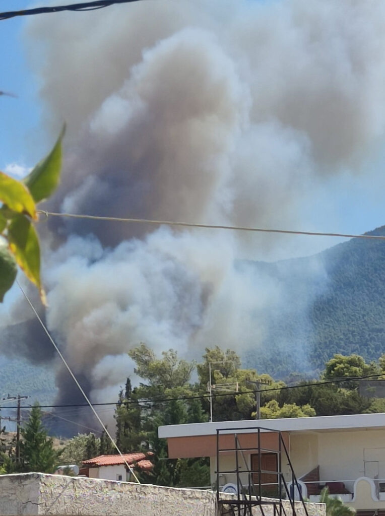 Φωτιά στις Αιγειρούσες Μεγάρων, κοντά στον οικισμό Νέο Μάζι - Έχουν καεί σπίτια, λέει ο Δήμαρχος