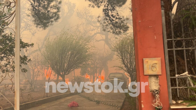 Ολοκληρώθηκαν οι αυτοψίες της Περιφέρειας σε όλες πυρόπληκτες επιχειρήσεις