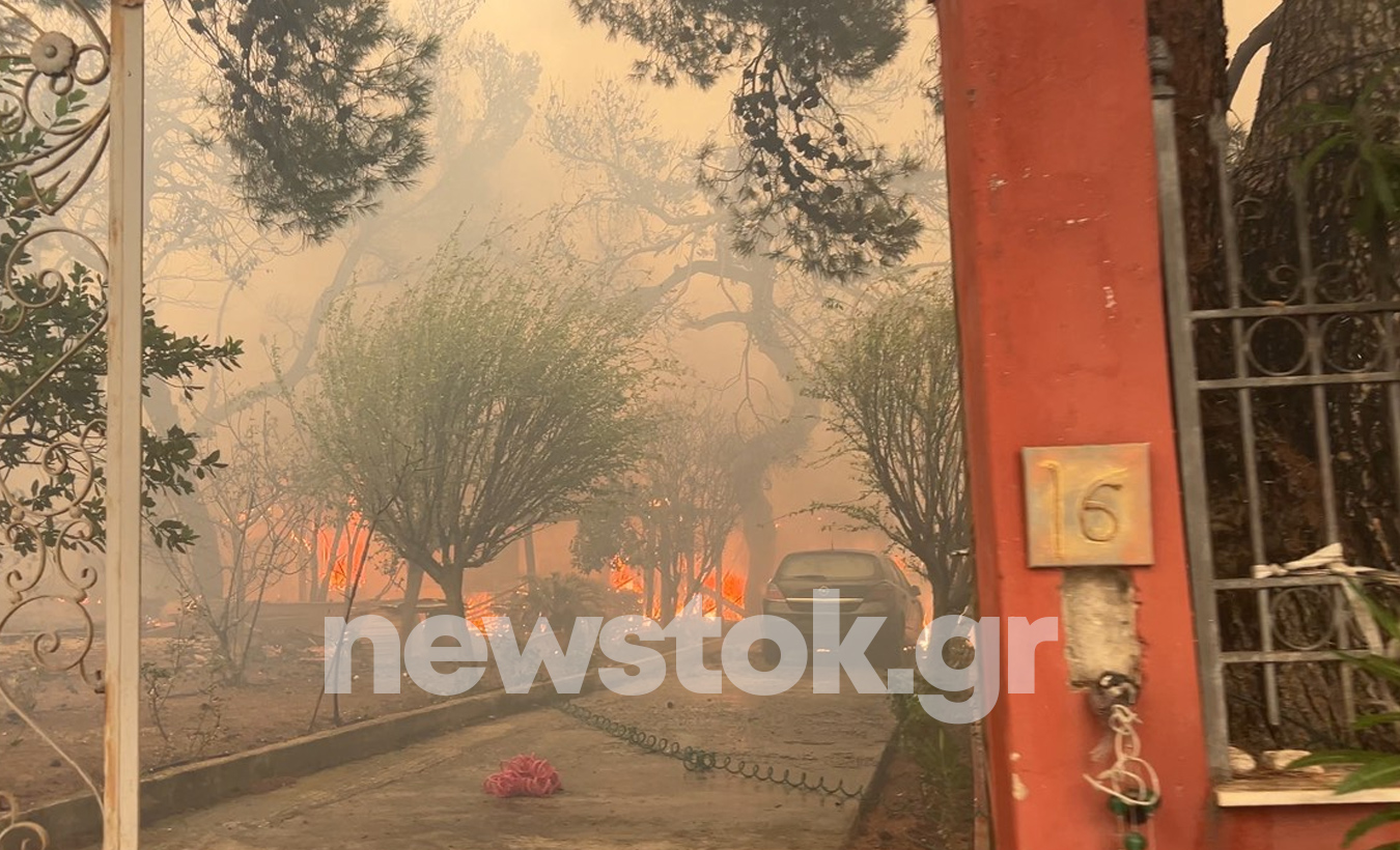 Ολοκληρώθηκαν οι αυτοψίες της Περιφέρειας σε όλες πυρόπληκτες επιχειρήσεις