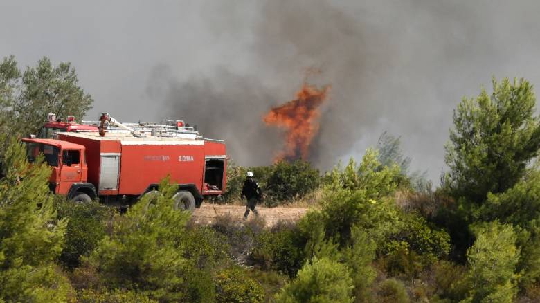 Φωτιά σε δασική έκταση στις Δρυμάδες Ιωαννίνων