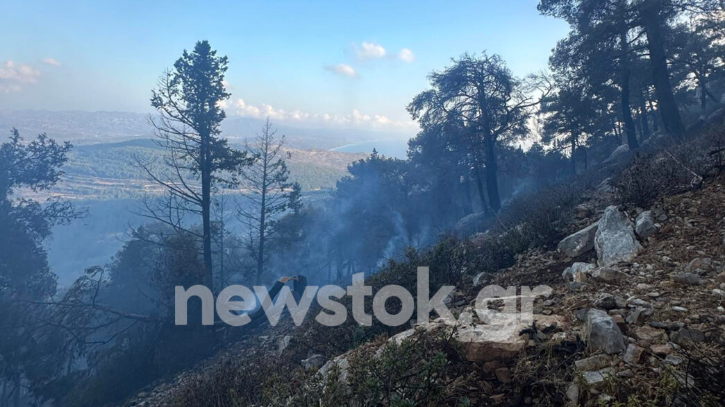 Μεγάλη φωτιά στη Ρόδο - Επιχειρούν ισχυρές επίγειες και εναέριες δυνάμεις