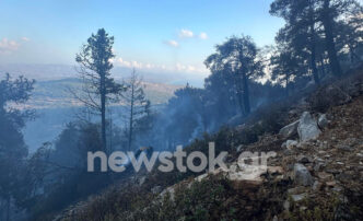 Μεγάλη φωτιά στη Ρόδο - Επιχειρούν ισχυρές επίγειες και εναέριες δυνάμεις