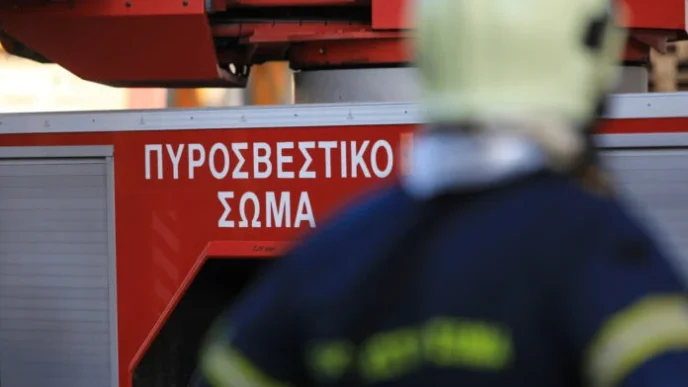 Φωτιά σε δασική έκταση στην Κρανέα Πέλλας