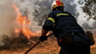 Φωτιά σε δασική έκταση στον Αμπελώνα Θεσπρωτίας