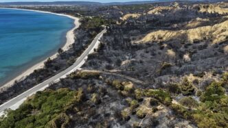 Τουρκία: Σε κατάσταση συναγερμού λόγω δασικών πυρκαγιών