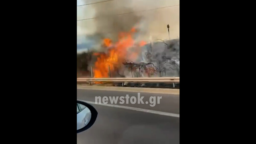 Φωτιά στην Εθνική οδό στο ύψος του Σχηματαρίου