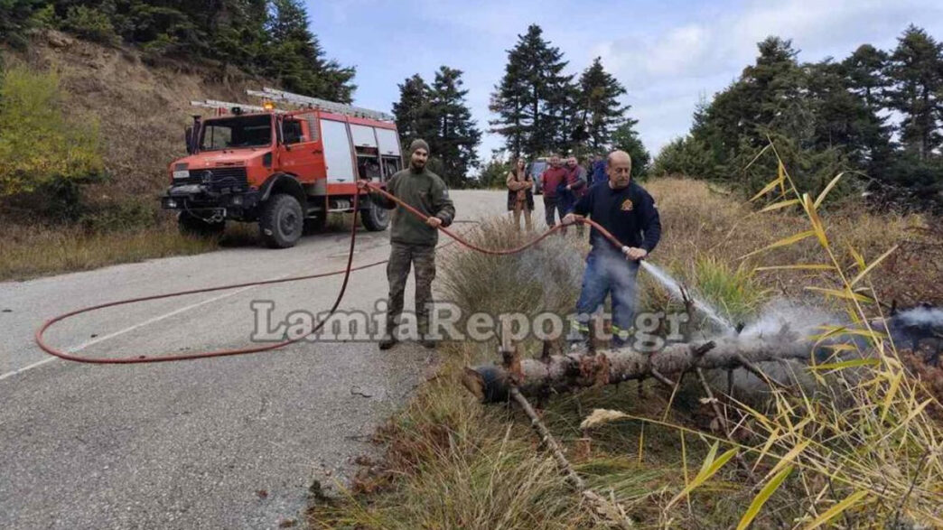 Λαθροϋλοτόμοι προκάλεσαν πυρκαγιά