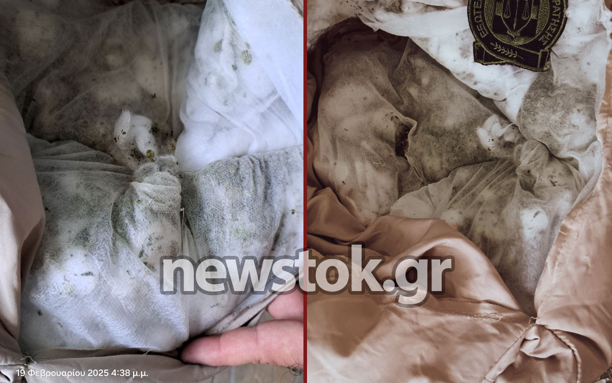 Κορυδαλλός: Αλγερινός επιχείρησε να περάσει ναρκωτικά σε κρατούμενο