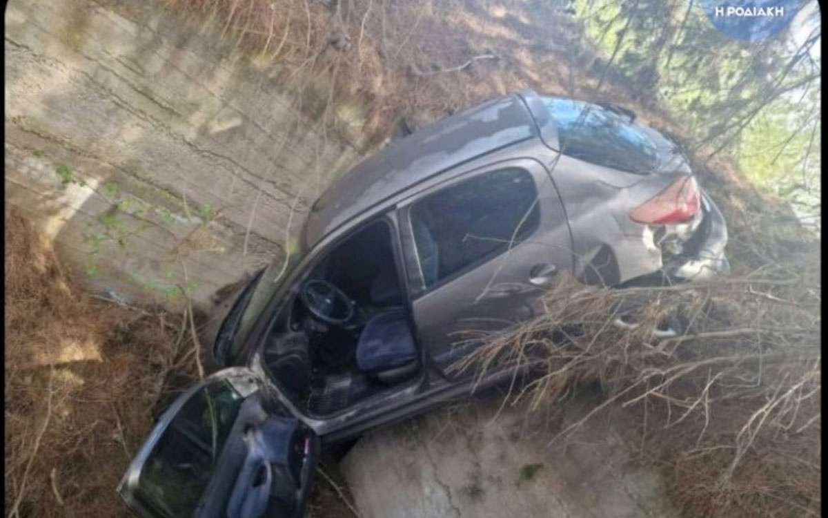 Οδηγός έπεσε σε χαντάκι για να αποφύγει ελάφι – Πέρασε όλη τη νύχτα στο αυτοκίνητο
