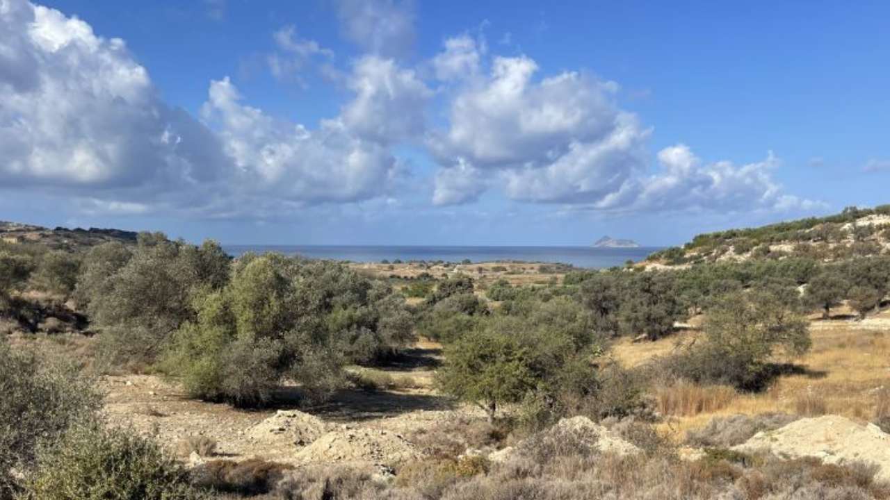 Οικόπεδο