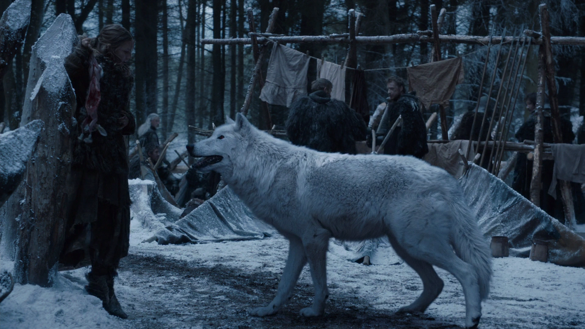 GAME OF THRONES-Λύκοι