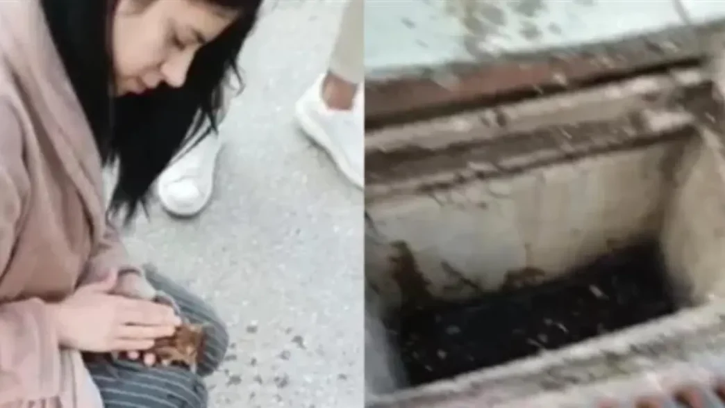 Θεσσαλονίκη: 21χρονη νοσηλεύτρια επαναφέρει στη ζωή γατάκι