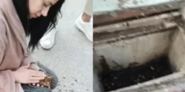 Θεσσαλονίκη: 21χρονη νοσηλεύτρια επαναφέρει στη ζωή γατάκι