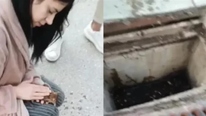 Θεσσαλονίκη: 21χρονη νοσηλεύτρια επαναφέρει στη ζωή γατάκι