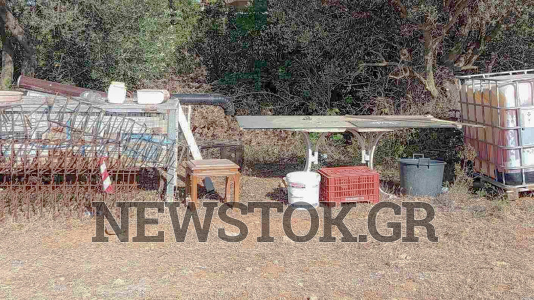 Ραφήνα: Εντοπίστηκε σορός σε αμπέλι