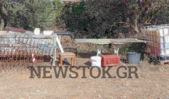 Ραφήνα: Εντοπίστηκε σορός σε αμπέλι