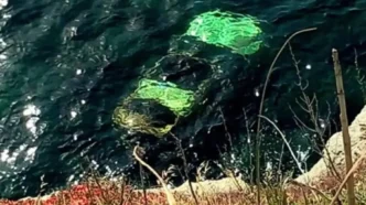 Άνδρο: Ηλικιωμένη οδηγός έπεσε με αυτοκίνητο στη θάλασσα