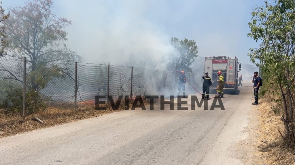 Βοιωτία: Φωτιά κοντά στο εργοστάσιο Παπουτσάνης-Φωτό 5 Βοιωτία: Φωτιά κοντά στο εργοστάσιο Παπουτσάνης-Φωτό
