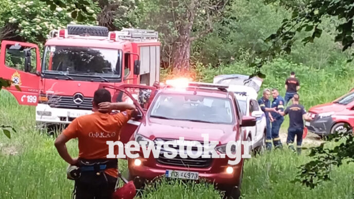 Δράμα: Επίθεση αρκούδας σε πεζοπόρους