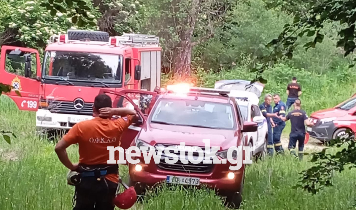 Συναγερμός στη Δράμα: Επίθεση αρκούδας σε πεζοπόρους – Γιγαντιαία επιχείρηση διάσωσης σε εξέλιξη (ΦΩΤΟ)