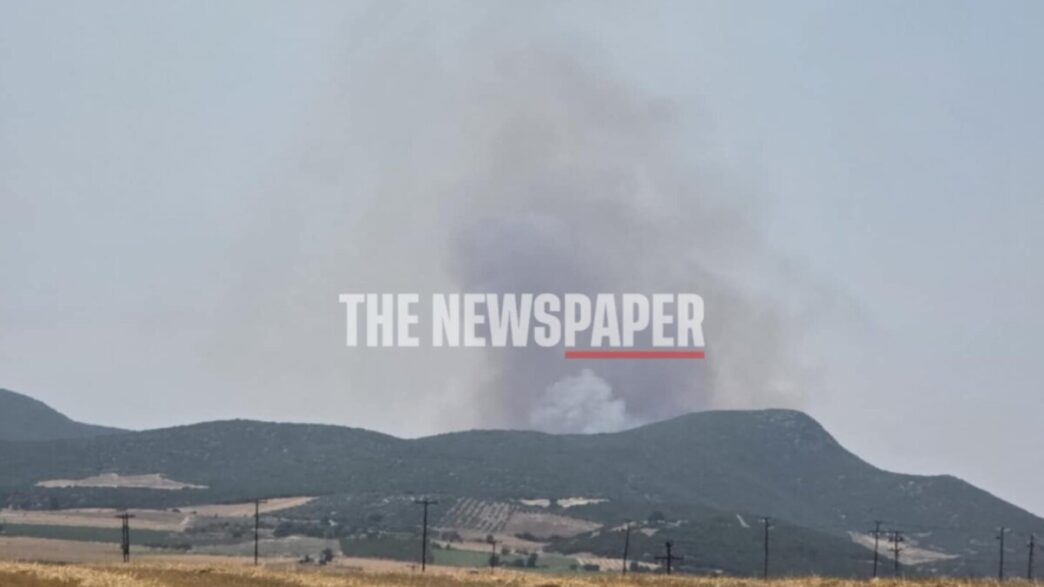 Πυρκαγιά στα όρια Μαγνησίας-Λάρισας