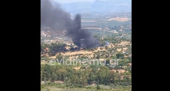 Συναγερμός στην Εύβοια: Φωτιά μαίνεται δίπλα στις εγκαταστάσεις της ΔΕΗ στο Μηλάκι