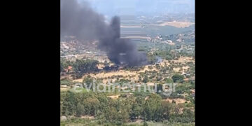 Συναγερμός στην Εύβοια: Φωτιά μαίνεται δίπλα στις εγκαταστάσεις της ΔΕΗ στο Μηλάκι