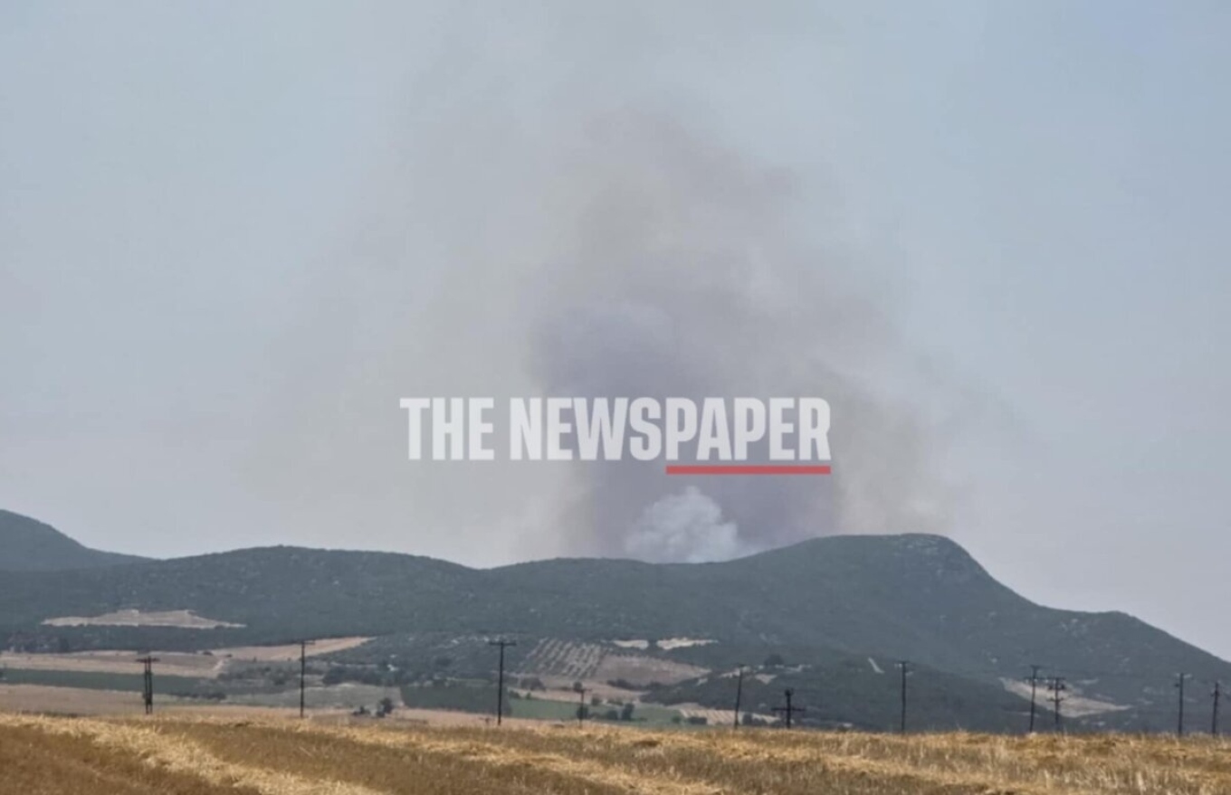 Πυρκαγιά στα όρια Μαγνησίας-Λάρισας: Μάχη πυροσβεστών με τις φλόγες και τους ισχυρούς ανέμους