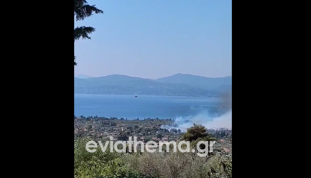 Εύβοια: Μεγάλη φωτιά στην Ερέτρια κοντά σε σπίτια