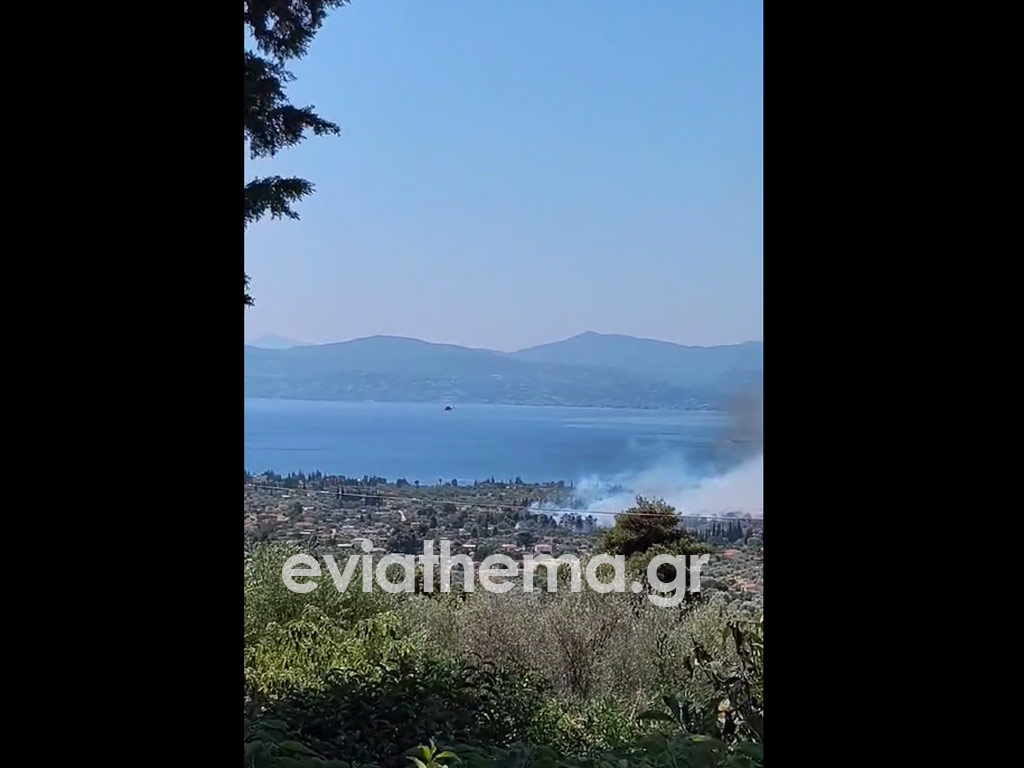 Εύβοια: Μεγάλη φωτιά στην Ερέτρια κοντά σε σπίτια