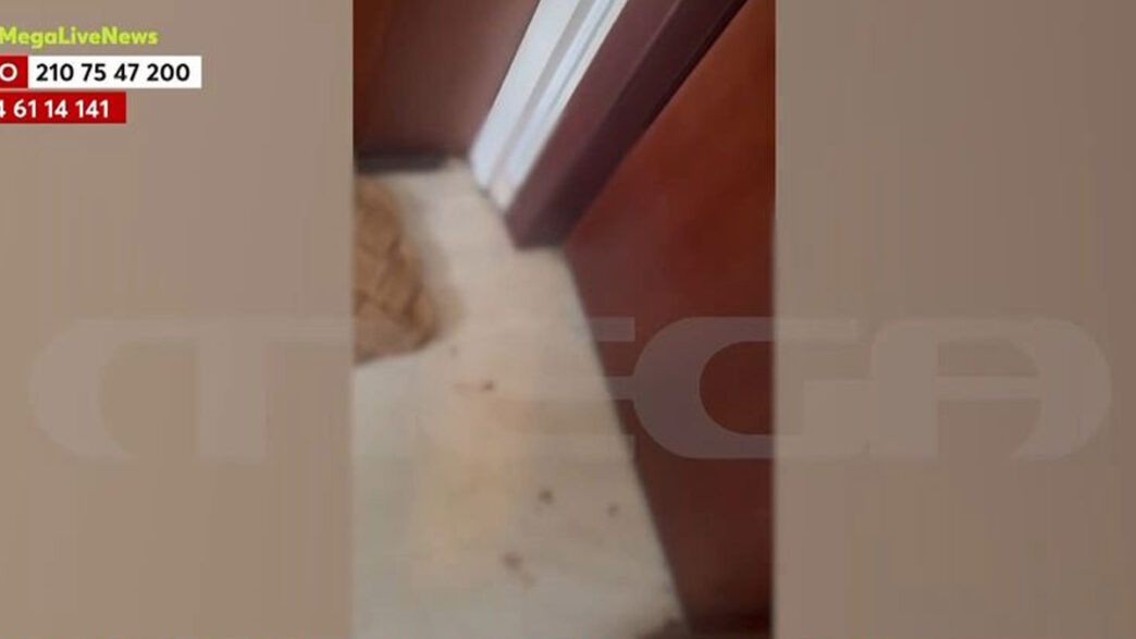 Βύρωνας: Επίθεση με κατσαβίδι από ηθοποιό σε ζευγάρι