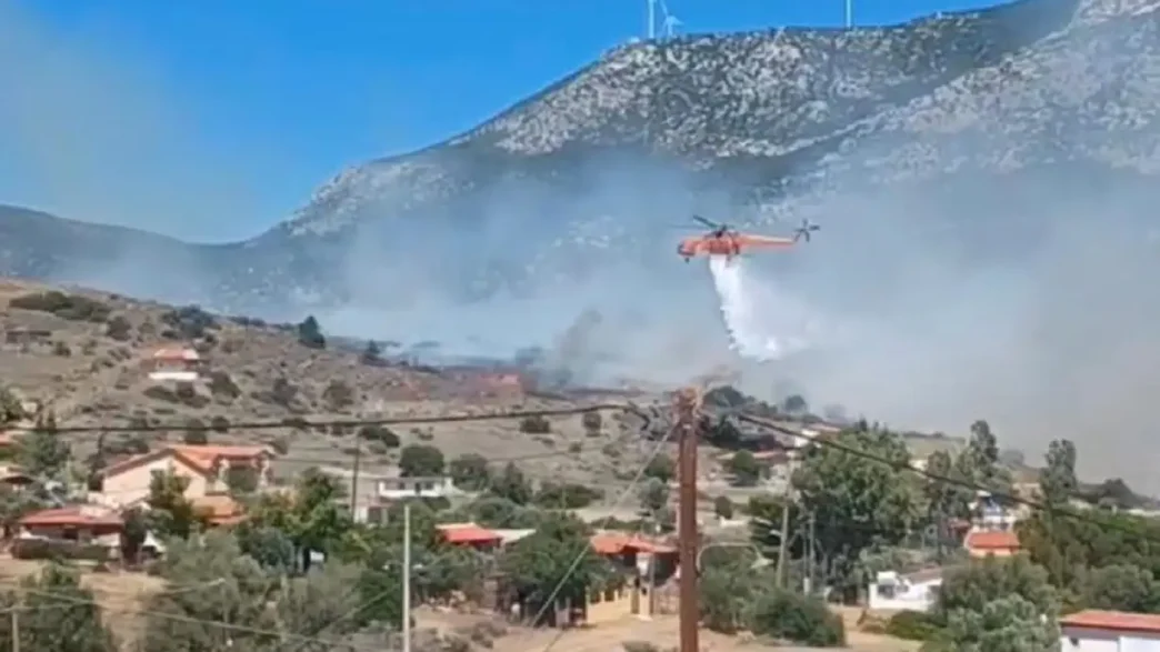 Φωτιά στην Αλυκή Βοιωτίας