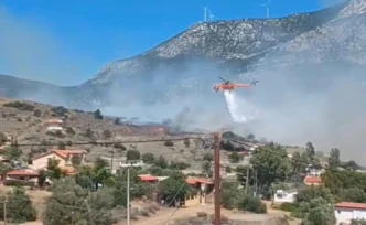 Φωτιά στην Αλυκή Βοιωτίας