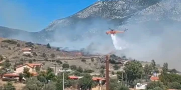 Φωτιά στην Αλυκή Βοιωτίας