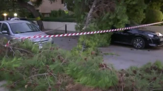 δέντρο έπεσε Παλαιό Φάληρο
