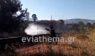 Εύβοια: Υπό έλεγχο η φωτιά που απείλησε σπίτια