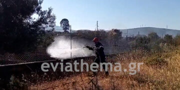 Εύβοια: Υπό έλεγχο η φωτιά που απείλησε σπίτια