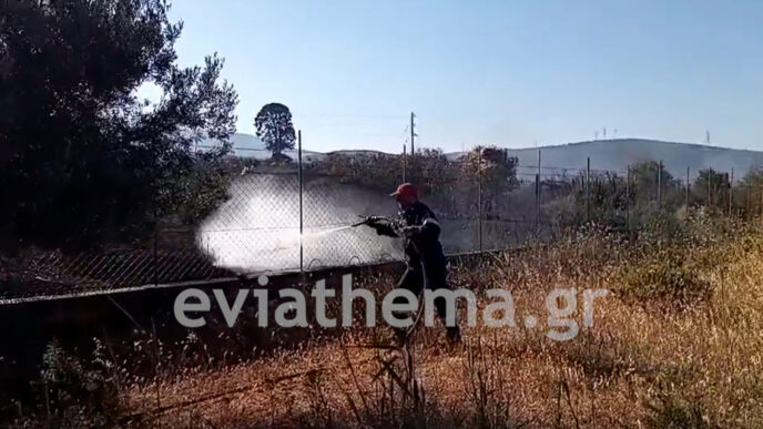 Εύβοια: Υπό έλεγχο η φωτιά που απείλησε σπίτια