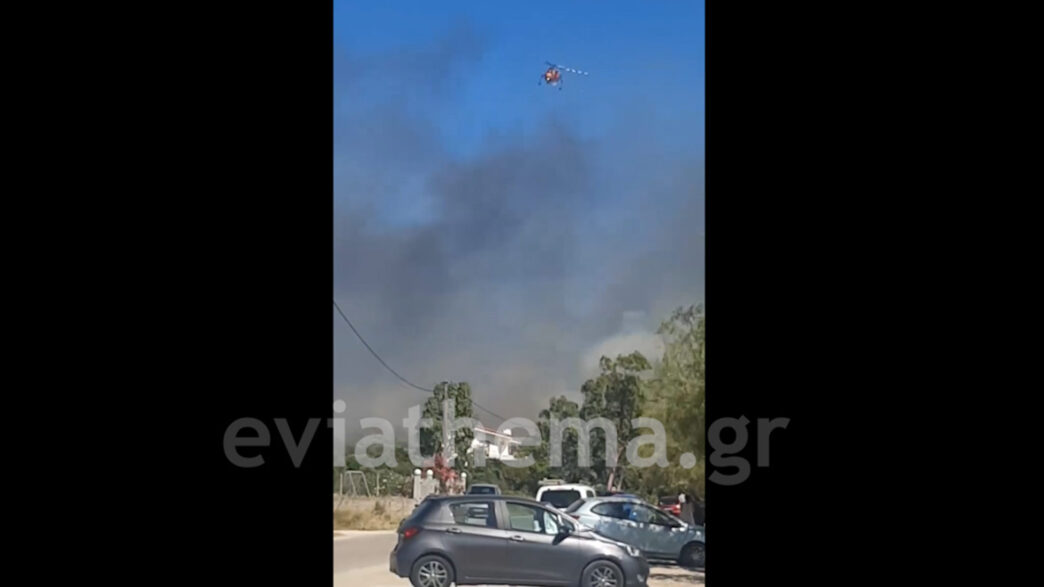 Συναγερμός στην Εύβοια: Μεγάλη πυρκαγιά σε αγροτική έκταση στο Αλιβέρι (ΦΩΤΟ)